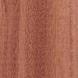 Essence de bois Doussié (ou Afzelia), de couleur brun doré à brun rouge